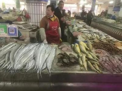 浙江水產市場現“黃金海鮮” 一斤飆至五百元，朋友圈里的價格驚嘆號